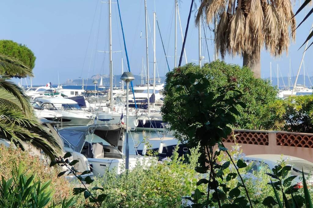Suites Jm - Le Temps D'Une Escale Hyères Kültér fotó